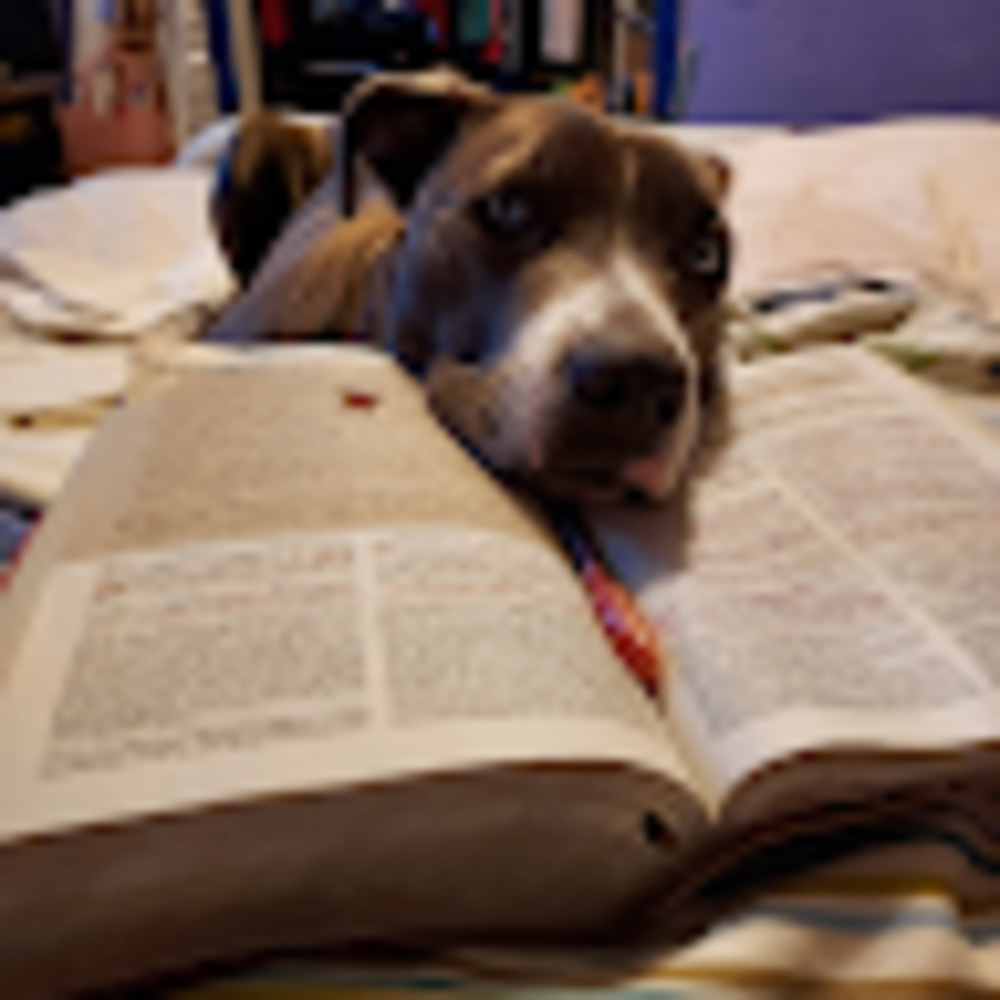 Meet your Posher, Crystal